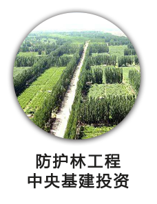 防护林工程中央基建投资