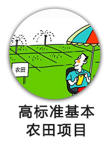 高标准基本农田项目