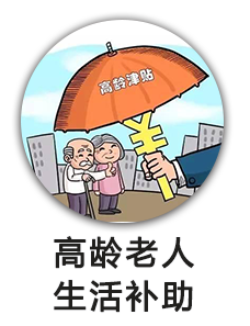 高龄老人生活补助