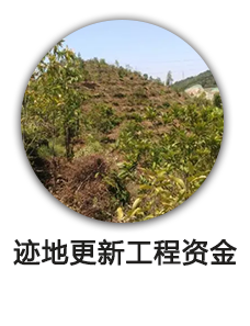 迹地更新工程资金