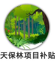 天保林项目补贴