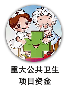 重大公共卫生项目资金