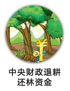 中央财政退耕还林资金